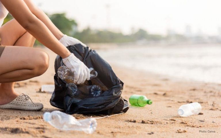 Litter cleanup “Safety First”